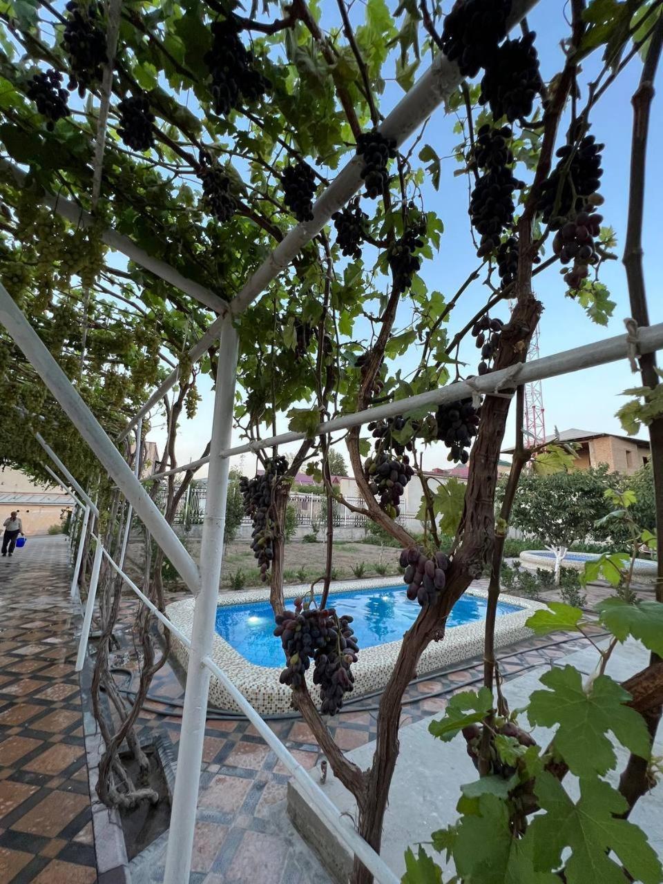 Samarabonu Hotel Samarkand Eksteriør billede